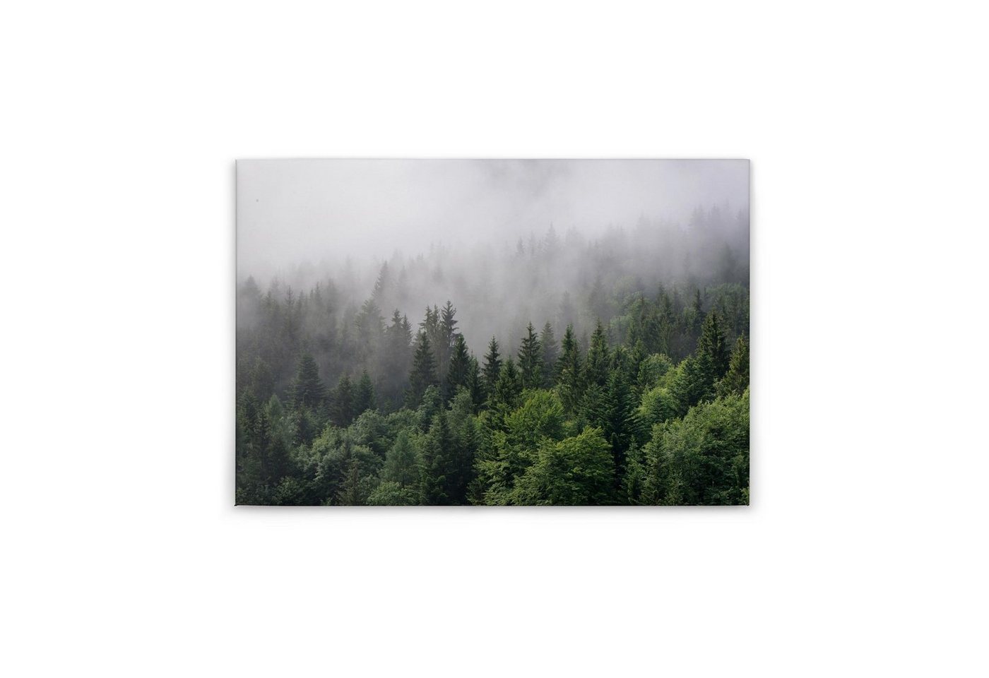 Tadessi Leinwandbild Bäume 60 x 90 cm Wald Natur Deko Keilrahmen M1-No.50038 von Tadessi