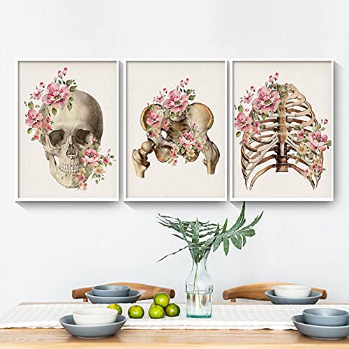 Moderne Wand Kunstdruck Blumen Skelett Knochen Anatomie Poster Schädel Wirbelsäule Medizinische Leinwand Malerei Abstrakte Klinik Krankenhaus Dekor Bilder 20"X28"X3Pcs Kein Rahmen von Tanyang