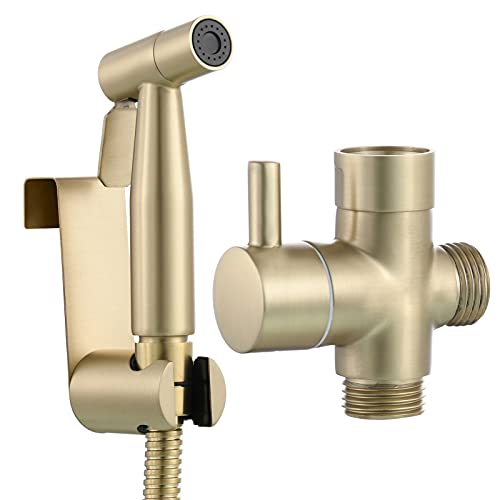 Tecmolog Bidet Handbrause Set Edelstahl Bidet Sprayer Shattaf Toilette mit Halterung und Schlauch, Gebürstetes Gold, WS024J2F von Tecmolog