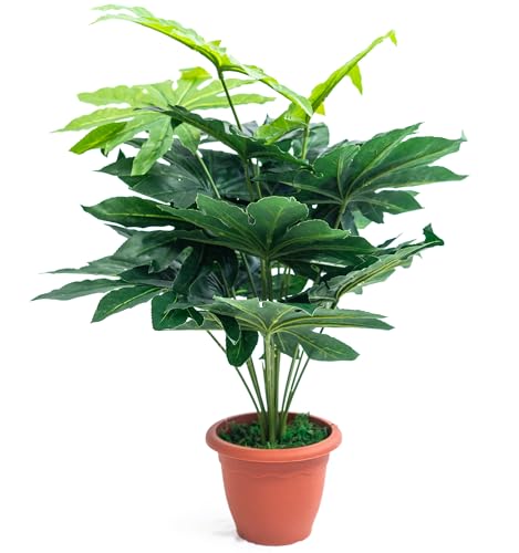 Tecnokit Gefälschte Pflanzen Palme 100 cm Künstliche Pflanzen für den Außenbereich Gefälschte Palme Wohnzimmer Dekoration Schlafzimmer Balkon Philodendron Aralia Weihnachtsstern (ARALIA 70 CM) von Tecnokit