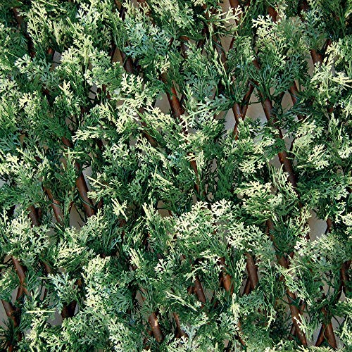 TENAX Divy 3D X-Tens Cyprus 100x200 cm Grün/Weiß, Synthetische Hecke aus Zypressenblättern auf dehnbarer Tragstruktur aus Naturholz von TENAX