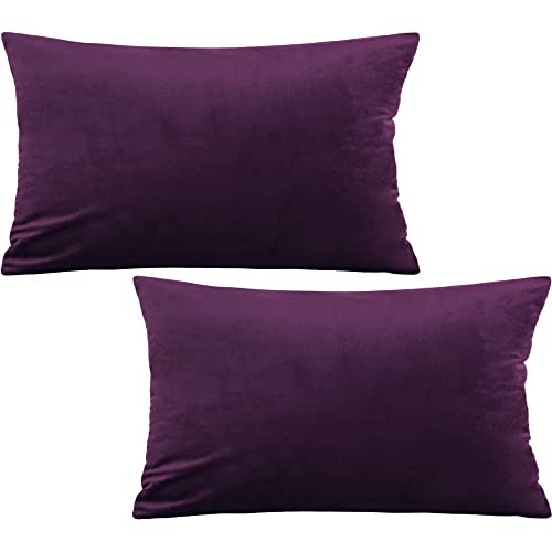 Tennove 30x50cm Samt Kissenbezug 2er Set Soft Zierkissenbezüge Aubergine Lila Kissenbezüge Dekorativer Kissenbezug Kissenhülle für Sofa Couch Home Schlafzimmer von Tennove