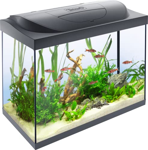 Tetra Starter Line 80 L Aquarium Komplett-Set - inkl. Tag- & Nachtlicht LED-Beleuchtung, Innenfilter, Heizer, Fischfutter und Wasseraufbereiter von Tetra