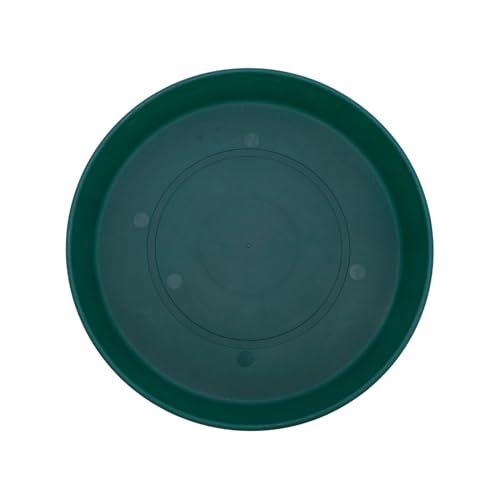 The HC Companies Prima Pflanzen-Untersetzer aus Kunststoff, rund, für drinnen und draußen, 22,6 x 22,6 x 2,5 cm, immergrün The HC Companies Prima Pflanzen-Untersetzer aus Kunststoff, rund, für drinnen und draußen, 22,6 x 22,6 x 2,5 cm, immergrün von The HC Companies