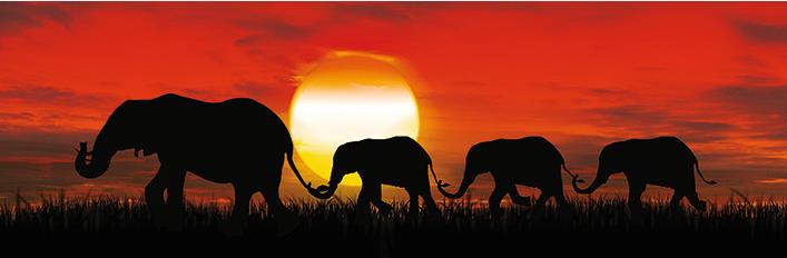 Deco-Panel Bild - Sunset Elefants 90 x 29 cm von The Wall