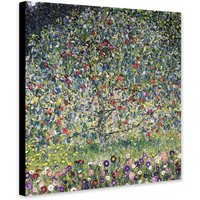 Apfelbaum Von Gustav Klimt | 1912 - Abstrakte Kunst Gewickelte Gerahmte Leinwand Rolld Canvas Foto/Poster Druck von TheWorldArtPrintCo