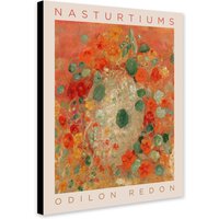 Kapuzinerkressen Abstrakte Blume Von Odilon Redon | 1912 - Gewickelte Rahmenleinwand Gerollte Leinwand Foto/Posterdruck von TheWorldArtPrintCo