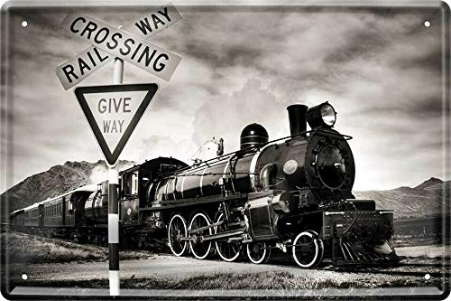 Tin Sign Blechschild 20x30 cm Wand Deko Schild American Railway Dampflok Eisenbahn historisch Sammler Geschenk von Tin Sign