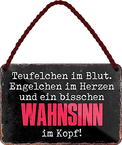 Tin Sign Hängeschild Blechschild 18x12 cm Teufel im Blut Engel im Herz Wahnsinn im Kopf lustiger Spruch Hinweis Wand + Tür Deko Haus + Garten Büro Bar Kneipe mit Kordel + Saugnapf H015 … von Tin Sign