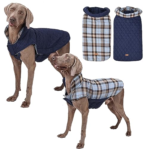 Tineer wasserdichte doppelseitige Hundejacke Weste für kleine, mittlere und große Hunde - Wendbarer Warmer Hundemantel Hundebekleidung für Herbst und Winter (2XL, Blau) von Tineer