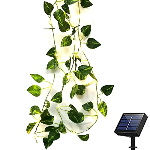 Solar Efeu Lichterkette, Toifucos 10M 100LEDs künstliche grüne Blätter Lichterkette Rebe hängende Girlande Lichterkette Efeu Rebe Lichterkette für Party Hochzeit Garten Weihnachten Raumdekoration von Toifucos