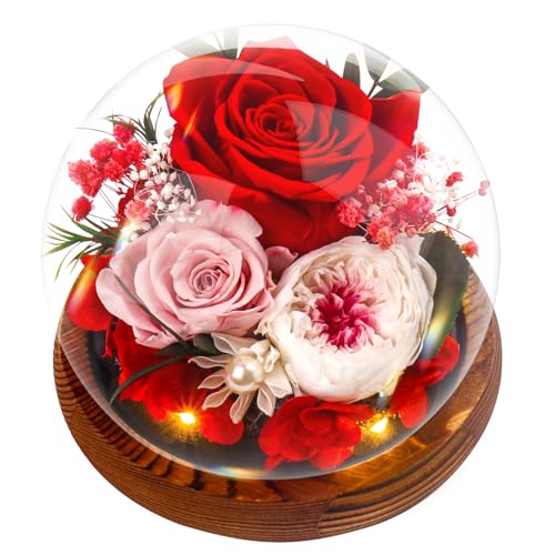 Ewige Rose Geschenke für Frauen, Konservierte Infinity Rosen Blume Licht LED Eternal Geschenkset Geburtstag, Rosengeschenke für Mutter, Freundin, Ehefrau, Muttertag, Jahrestag, Dankeschön-Geschenke von Touloube