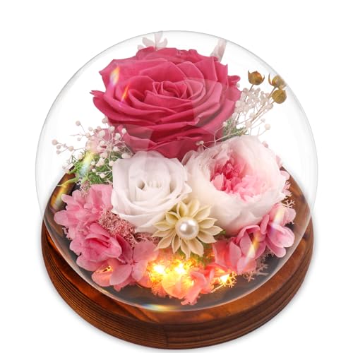 Ewige Rose Geschenke für Frauen, Konservierte Infinity Rosen Blume Licht LED Eternal Geschenkset Geburtstag, Rosengeschenke für Mutter, Freundin, Ehefrau, Muttertag, Jahrestag, Dankeschön-Geschenke von Touloube