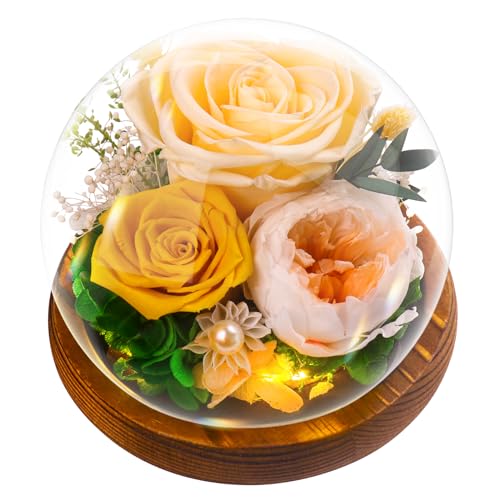 Ewige Rose Geschenke für Frauen, Konservierte Infinity Rosen Blume Licht LED Eternal Geschenkset Geburtstag, Rosengeschenke für Mutter, Freundin, Ehefrau, Muttertag, Jahrestag, Dankeschön-Geschenke von Touloube