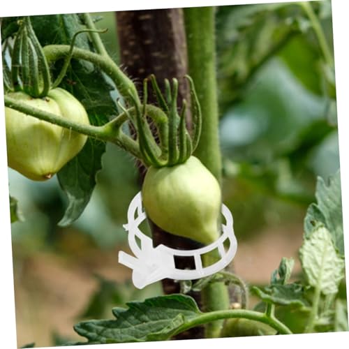 Toyvian 100 Stück Teiliges Transparente Pflanzclips aus UV Beständigem Kunststoff Wiederverwendbare Rankgitter Clips für Tomaten Weinreben und Gemüse Wetterfeste Befestigung für Balkon Toyvian 100 Stück Teiliges Transparente Pflanzclips aus UV Beständigem Kunststoff Wiederverwendbare Rankgitter Clips für Tomaten Weinreben und Gemüse Wetterfeste Befestigung für Balkon von Toyvian