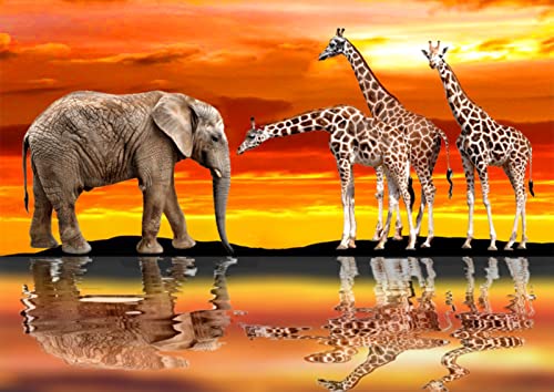 Trayosin Diamond Painting Bilder Groß Giraffe Elefant Cross Stitch Set Sonnenuntergang Embroidery Full Drill DIY 5D Diamant Painting Tier Handmade Rhinestone Gift for Home Decoration (40x30cm) von Trayosin