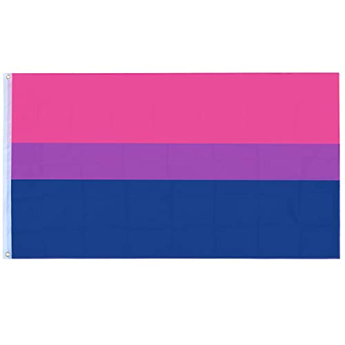 TRIXES Bi-Pride Flagge - Große Flagge für drinnen und draußen - Feiern Sie die Vielfalt auf Bi Pride und LGBT Festivals Sommerparties - Rosa Lila Blau - 150 cm x 90 cm von TRIXES