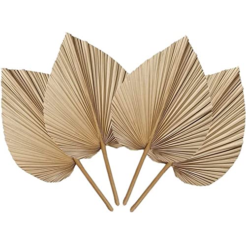 TsoLay 4 Stück Natürliche Getrocknete Palmblätter, Perfekt für Palmblatt-Dekoration, Boho-Dekoration, Wohnkultur, Hochzeit von TsoLay
