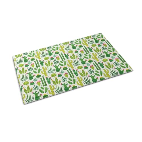 Tulup 90x60 cm Outdoor-Fußabstreifer Außenfußmatten Türmatte für draußen Schmutzfangmatte für draußen - Kaktus von Tulup