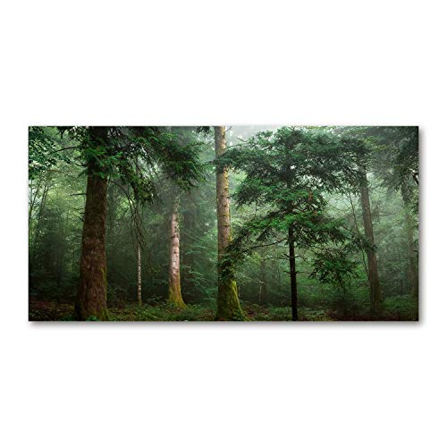 Tulup Glas-Bild Wandbild aus Glas - Wandkunst - Wandbild hinter gehärtetem Sicherheitsglas - Dekorative Wand für Küche & Wohnzimmer 120x60 - Landschaften - Nebel im Wald - Grün von Tulup