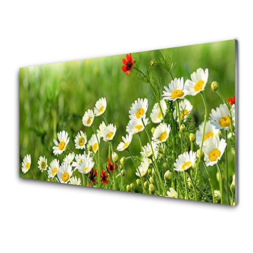 Tulup Glasbilder 100x50cm - Wandbild Druck auf Glas XXL Panorama-Bild Wandbilder aus Echt-Glas Sicherheitsglas Kunstdruck für Küche Wohnzimmer Gänseblümchen Natur von Tulup