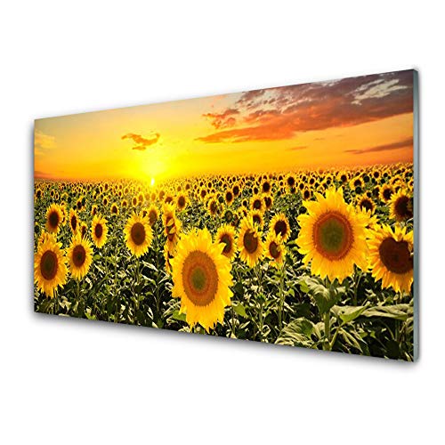 Tulup Glasbilder 100x50cm - Wandbild Druck auf Glas XXL Panorama-Bild Wandbilder aus Echt-Glas Sicherheitsglas Kunstdruck für Küche Wohnzimmer Sonnenblumen Pflanzen von Tulup