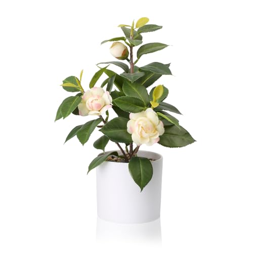 Tuocal Künstliche Pflanze im Topf, 28 cm, künstliche Kamelie, grüne Pflanzen, künstliche kleine Bonsai-Pflanzen für Zuhause, Büro, Wohnzimmer, Regal, Schreibtischdekoration, Gelb von Tuocal