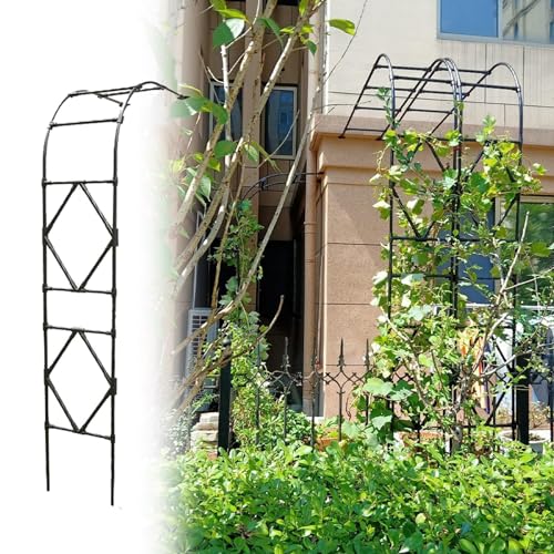 Halbbogen-Spalier Für Rosenlaube Im Garten, Hochzeitstorbogen Aus Metall Für Kletterpflanzen, Rosenranken, Spalier Für Pergola Im Freien, Rosenlaube, Gartenstützbögen(Black,60x240cm) von UE-MAOLU