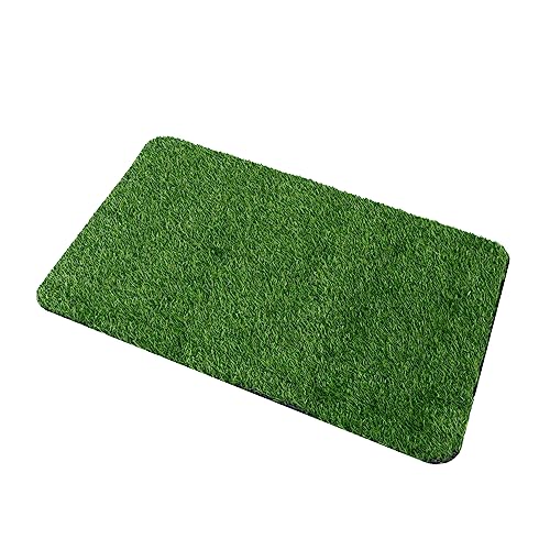 UKCOCO 1 Stück Künstlicher Gras Türmatte rutschfeste Fußmatte für Eingang Badezimmer Terrasse Schmutzfangmatte mit Wasserabsorption für und Außenbereich Zufällige Farbe Zufällige Farbe UKCOCO 1 Stück Künstlicher Gras Türmatte rutschfeste Fußmatte für Eingang Badezimmer Terrasse Schmutzfangmatte mit Wasserabsorption für und Außenbereich Zufällige Farbe Zufällige Farbe von UKCOCO