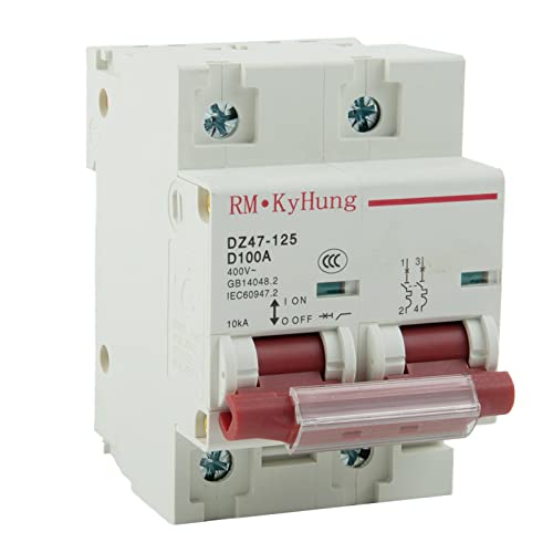 Sicherungsautomat Leistungsschalter 2P DC MCB 600V 100A Leitungsschutzschalter Stromschutzschalter Trennschalter Hauptschalter Schienenmontierter Schutzschalter für PV. System-Batterie-Hauptschalter von URPIZY