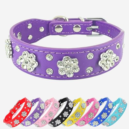 Hundehalsband mit Strass-Blume, funkelndes Leder, für kleine und mittelgroße Hunde (Lila, XS) von UVONOKAY