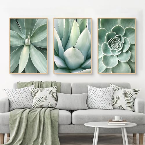 Uixxducc 3er Set Premium Poster Set, Bilder Set Pflanzen Blätter Kaktus, Moderne Grüne Pflanzen Wandbilder Wandeko für Wohnzimmer Schlafzimmer, ohne Bilderrahmen (ABC,50x70cm) von Uixxducc
