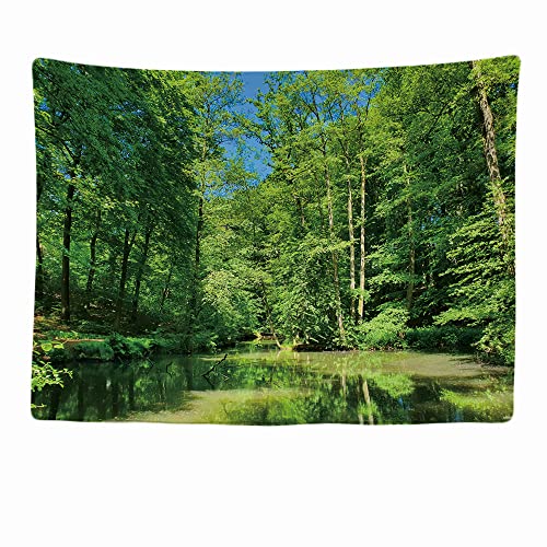 Ulticool - Bäume Natur Wasser Veluwe Die Niederlande - Wandteppich - 200x150 cm - Großer Wandteppich - Poster Verzierung - Dekoration - Tapete - Leinwand - Malerei - Zubehör Raumteiler von Ulticool