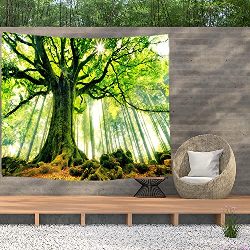 Ulticool – Baum Sonnenlicht Bäume Natur - Wandteppich Poster - 200x150 cm - Gartenposter - Wandteppich groß – Dekoration Zubehörteil für Garten und Wohnzimmer von Ulticool