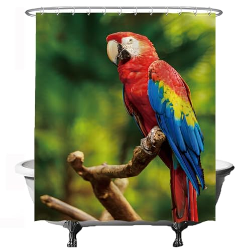 Ulticool Duschvorhang – Papagei Vogel Tiere Natur - 180 x 200 cm - Waschbar - Anti Schimmel - mit 12 Ringen – Grün von Ulticool