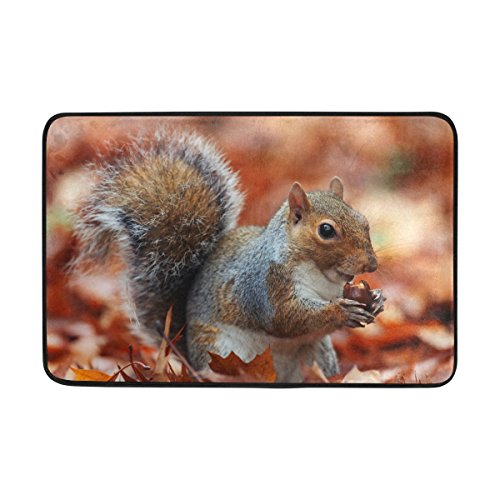 Use7 Fußmatte Herbst Wald Eichhörnchen Innen Außen Eingang Fußmatte Badezimmer 60 x 40 cm von Use7