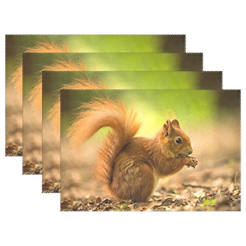 Use7 Herbstblatt Eichhörnchen Platzdeckchen Tischmatte 30,5 x 45,7 cm Polyester Tisch Platzset für Küche Esszimmer 1 Stück von Use7