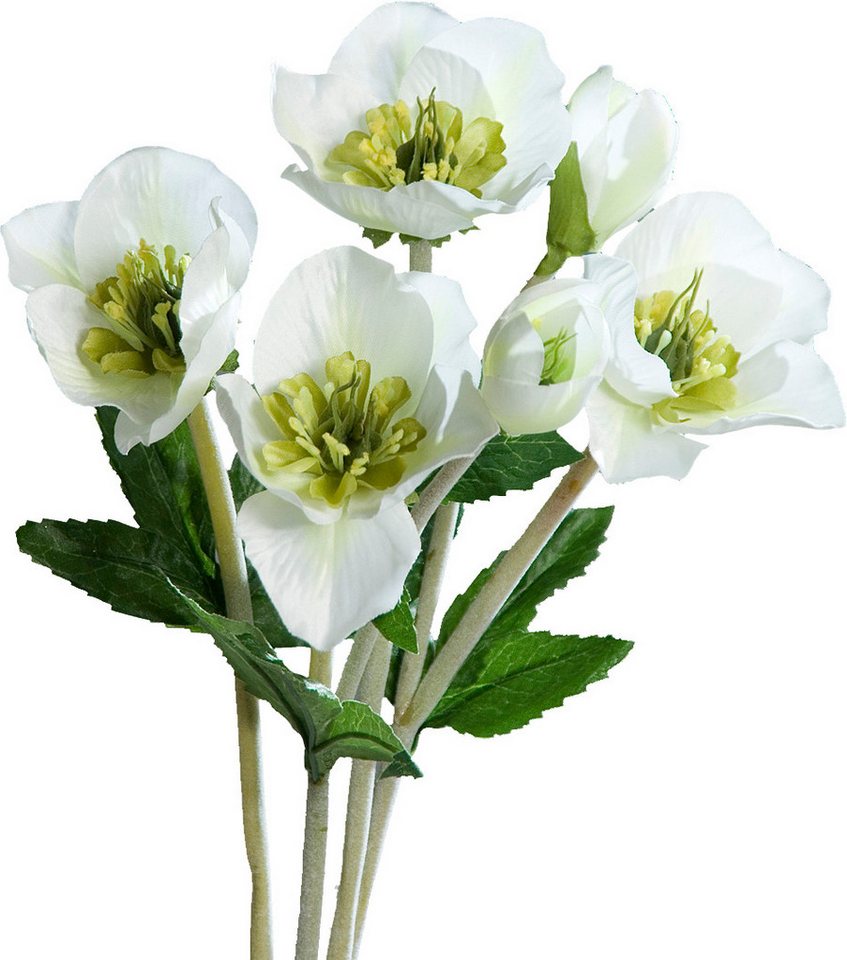 Kunstblume Christrosen Bund Helleborus, DPI, 33 cm von DPI