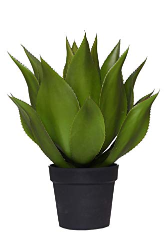 VIVANNO Kunstpflanze Agave künstlich Sukkulente AGAVO im schwarzen Topf 48 cm von VIVANNO