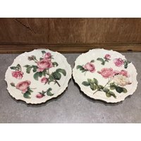 2 Hübsche Rosafarbene Teller, Atemberaubender Skye Mcghie Coventry Garden, Atemberaubende, Lebendige Blumen von VTGItemsAddedDaily