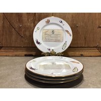 4 Vintage Rosanna Dessertteller Oder Käse Salat, Made in Italy Teller 7, 8" von VTGItemsAddedDaily