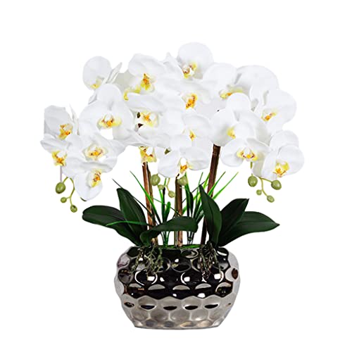 VUIUYOIES Künstliche Orchidee Bonsai Phalaenopsis Kunstpflanzen Orchideen Blumenarrangements für Tisch Wohnzimmer Hochzeit Ornamente, Hellgelb weiß von VUIUYOIES