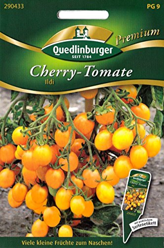 Kirschtomaten, Cherry Tomaten, Ildi, Samen, Saatgut von Vertriebsgesellschaft Quedlinburger Saatgut mbH