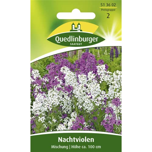 Nachtviole, Mischung, Hesperis matronalis, Saatgut, Sämereien, ca. 60 Samen von Vertriebsgesellschaft Quedlinburger Saatgut mbH