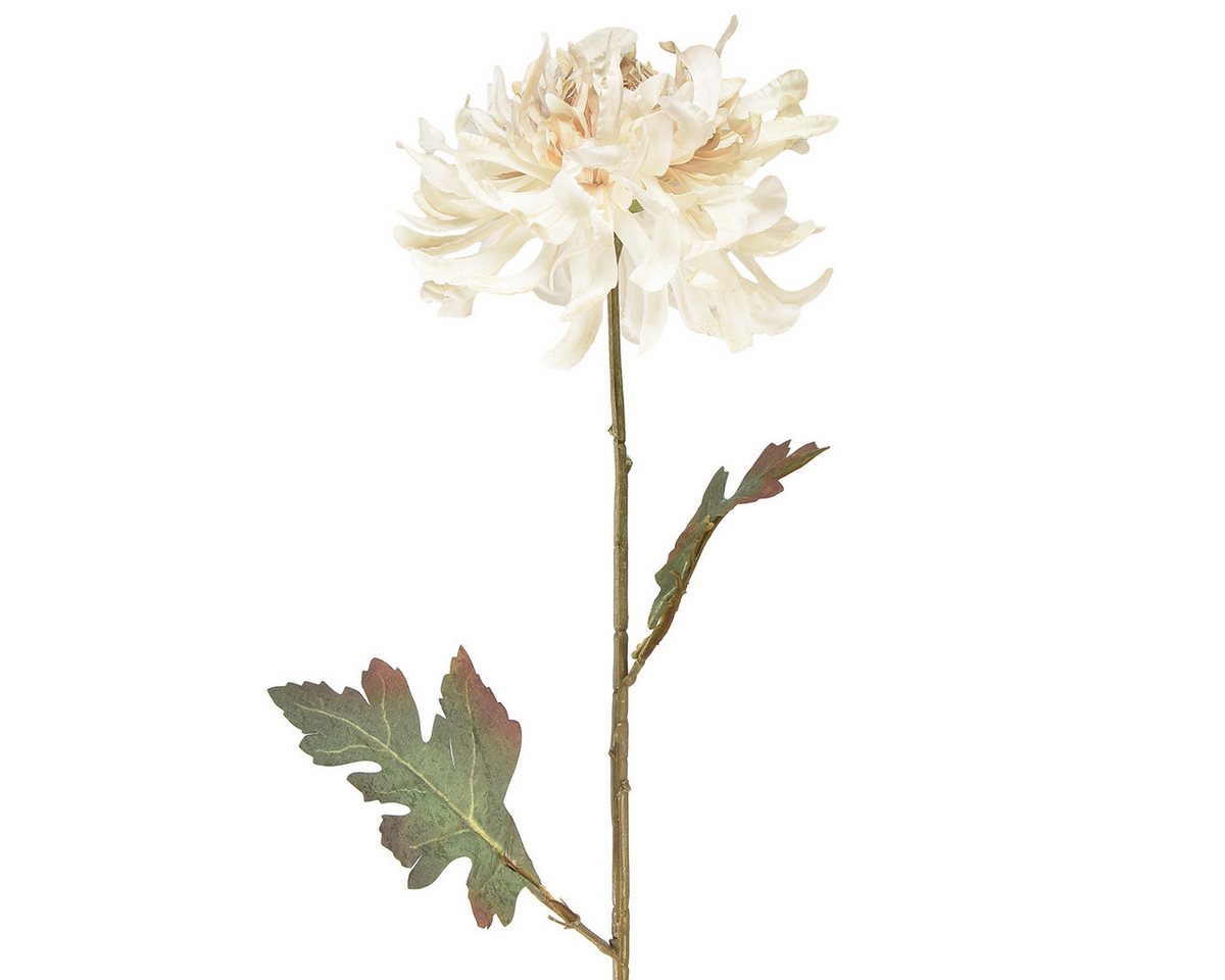 Kunstblume Chrysanthemen Kunstblumen Creme 72cm 2er Set Dekoration, Viana Kunstblume Chrysanthemen Kunstblumen Creme 72cm 2er Set Dekoration, Viana von Viana