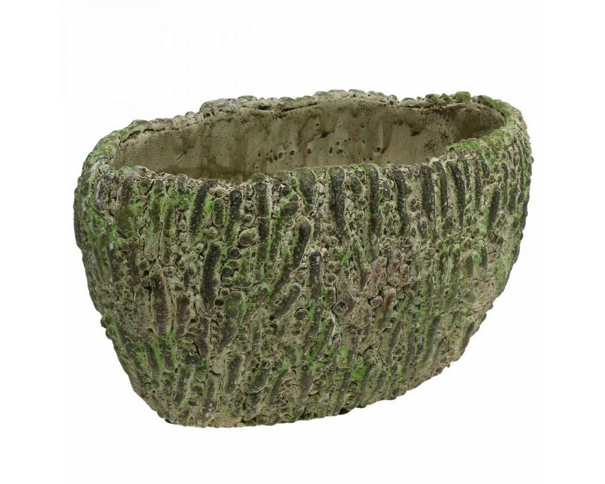 Viana Übertopf Übertopf Beton oval Antik-Look Grün Braun 24x14x13cm Pflanzgefäß Viana Übertopf Übertopf Beton oval Antik-Look Grün Braun 24x14x13cm Pflanzgefäß von Viana