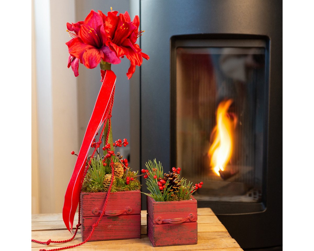 Winterliche Kunstpflanze Künstliche Amaryllis Rot Dekoblumen Ø18cm L68cm 2er-Set, Viana Winterliche Kunstpflanze Künstliche Amaryllis Rot Dekoblumen Ø18cm L68cm 2er-Set, Viana von Viana