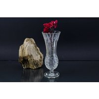 Vase Transparent Wunderschönes Muster Tischdekoration von Vintage4Moms