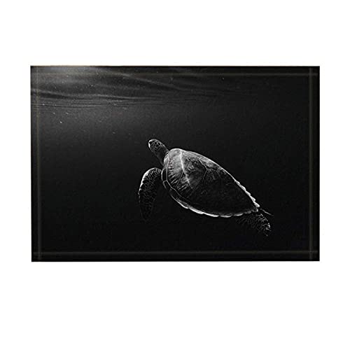 Teppich Ocean Aniaml Decor Badvorleger Sea Turtle In Darkness, rutschfeste Fußmatte Bodeneingänge Indoor Haustürmatte Badezimmerteppiche Indoor Outdoor Türmatte Weihnachten Halloween von WAXB