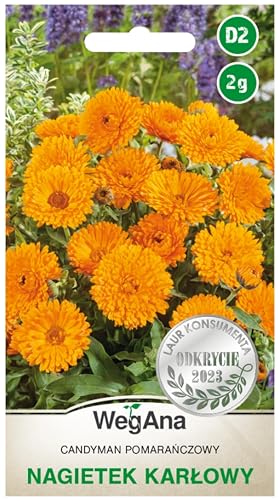 WegAna Samen Ringelblume Candyman Orange 2g Anspruchslos Niedrige Pflanzen Gartenpflanzen Balkonpflanzen Bienenweide Blumen Saatgut von WEGANA